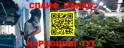 ешки Славгород
