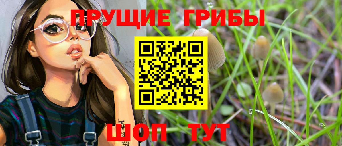 Галлюциногенные грибы Cubensis  купить   Соликамск  Галлюциногенные грибы мицелий  Вход с VPN 