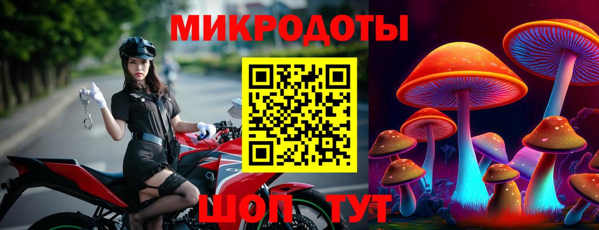Галлюциногенные грибы Psilocybe Соликамск